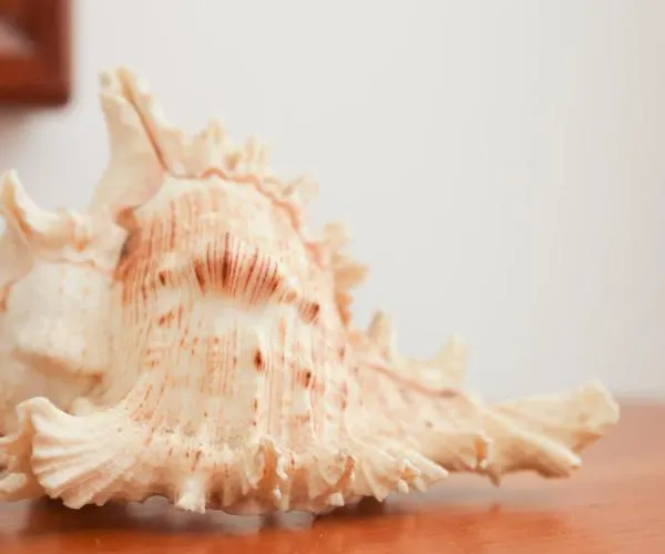 Il Mosaico Al Mare Искья